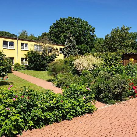 Ferienwohnung Ruegen In Samtens Eksteriør bilde